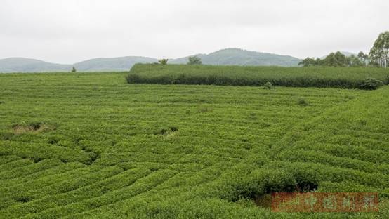 微信图片_20251119123653