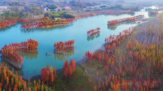 (40)调色板 范昀